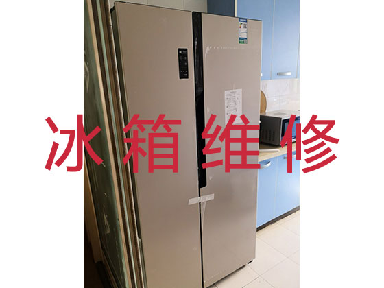 宁波专业冰箱冰柜安装